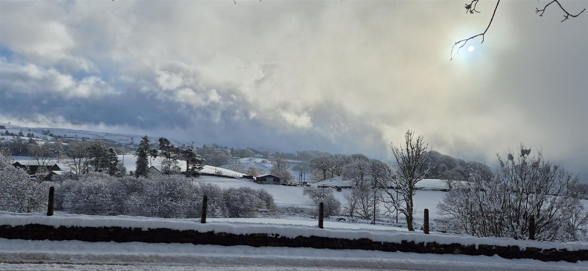snow 3.jpg
